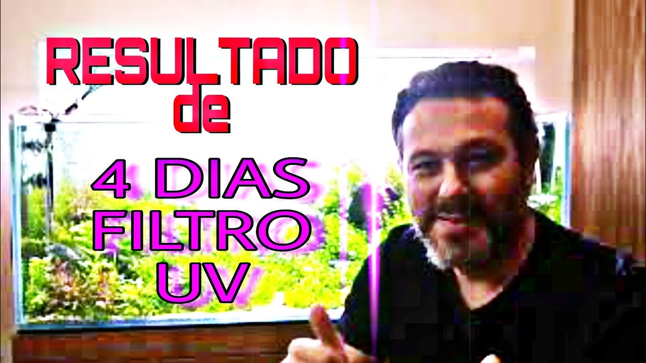 Isso é o que acontece se usar FILTRO UV no AQUÁRIO