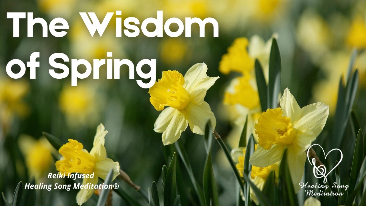 Wisdom of Spring | A Quiet Reflection for New Beginnings and Gentle Renewal