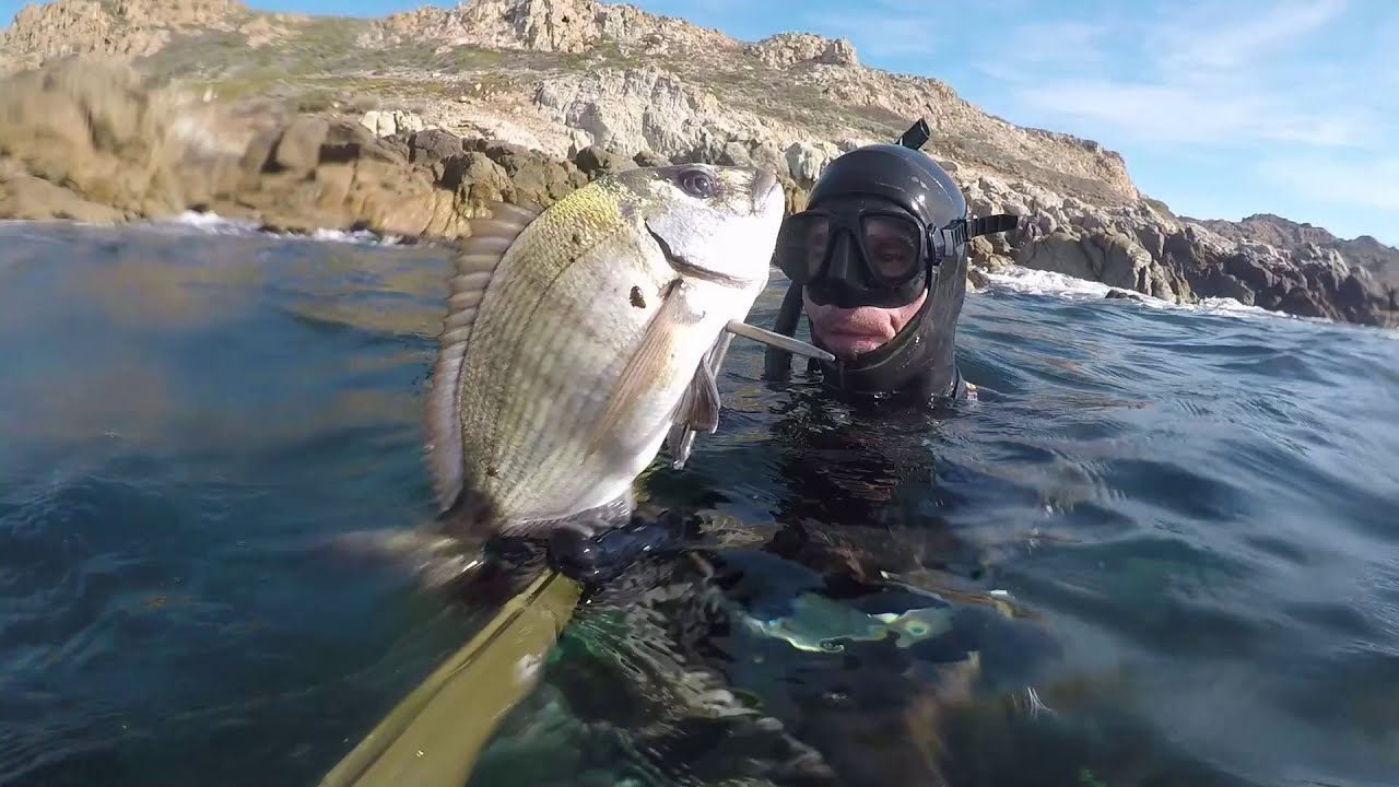 Vidéo pesca sub hivernale 2021 @sigal