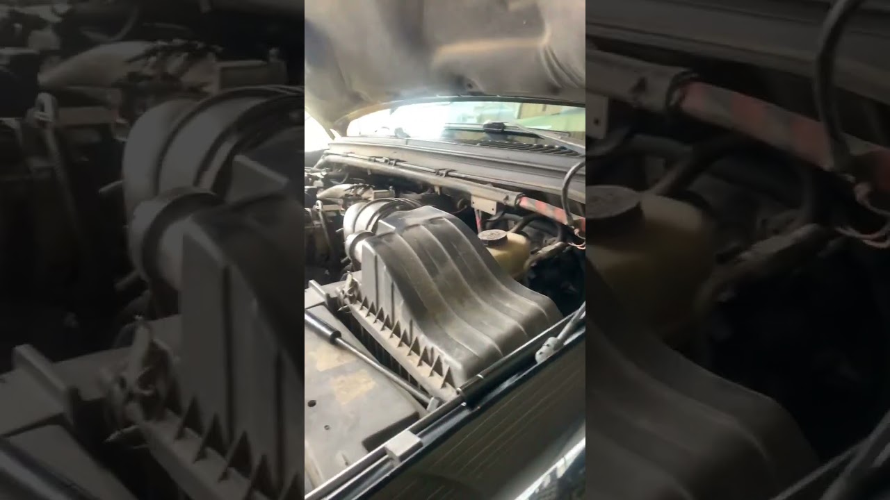 Why good hood struts are a necessity!!!
