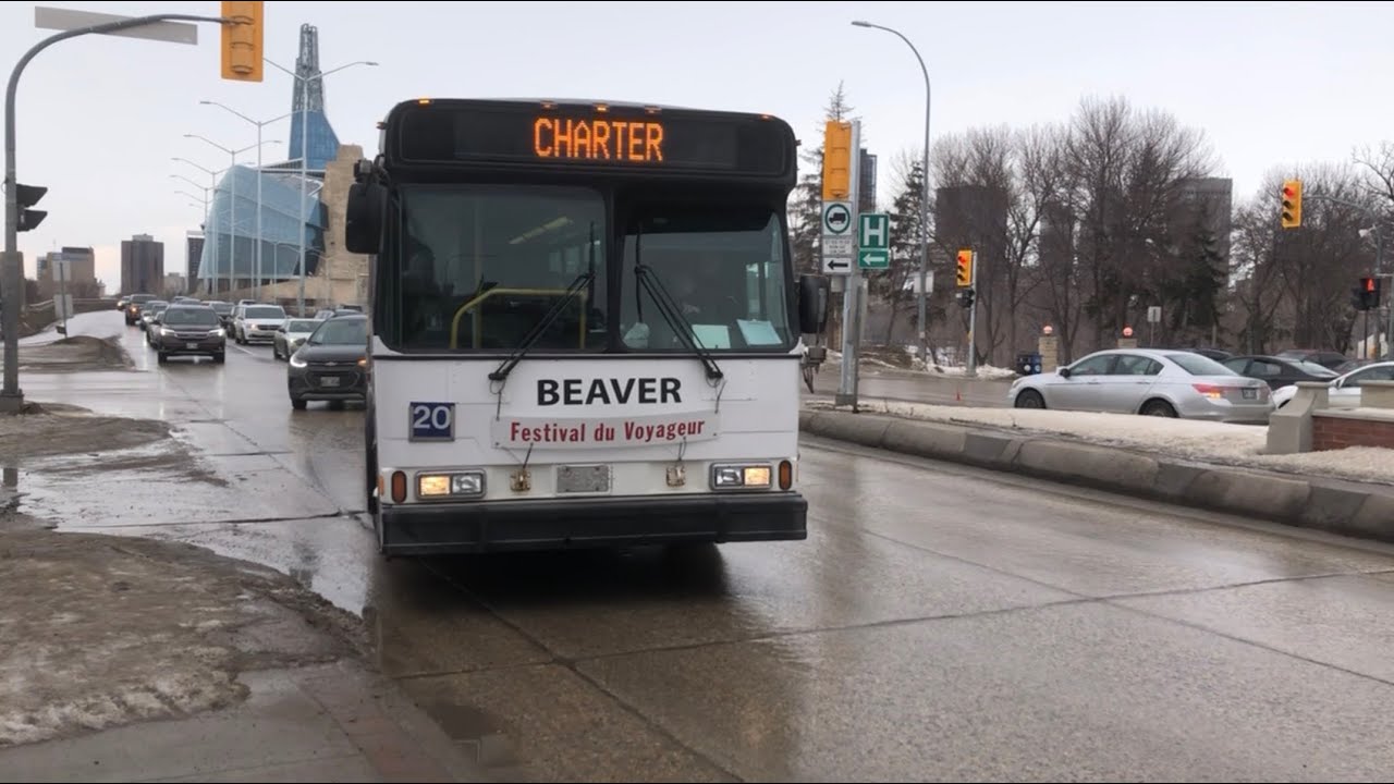 (SHORT RIDE) ☃️FESTIVAL DU VOYAGEUR☃️ Shuttle Bus Service2026(Operated by Beaver Bus line)
