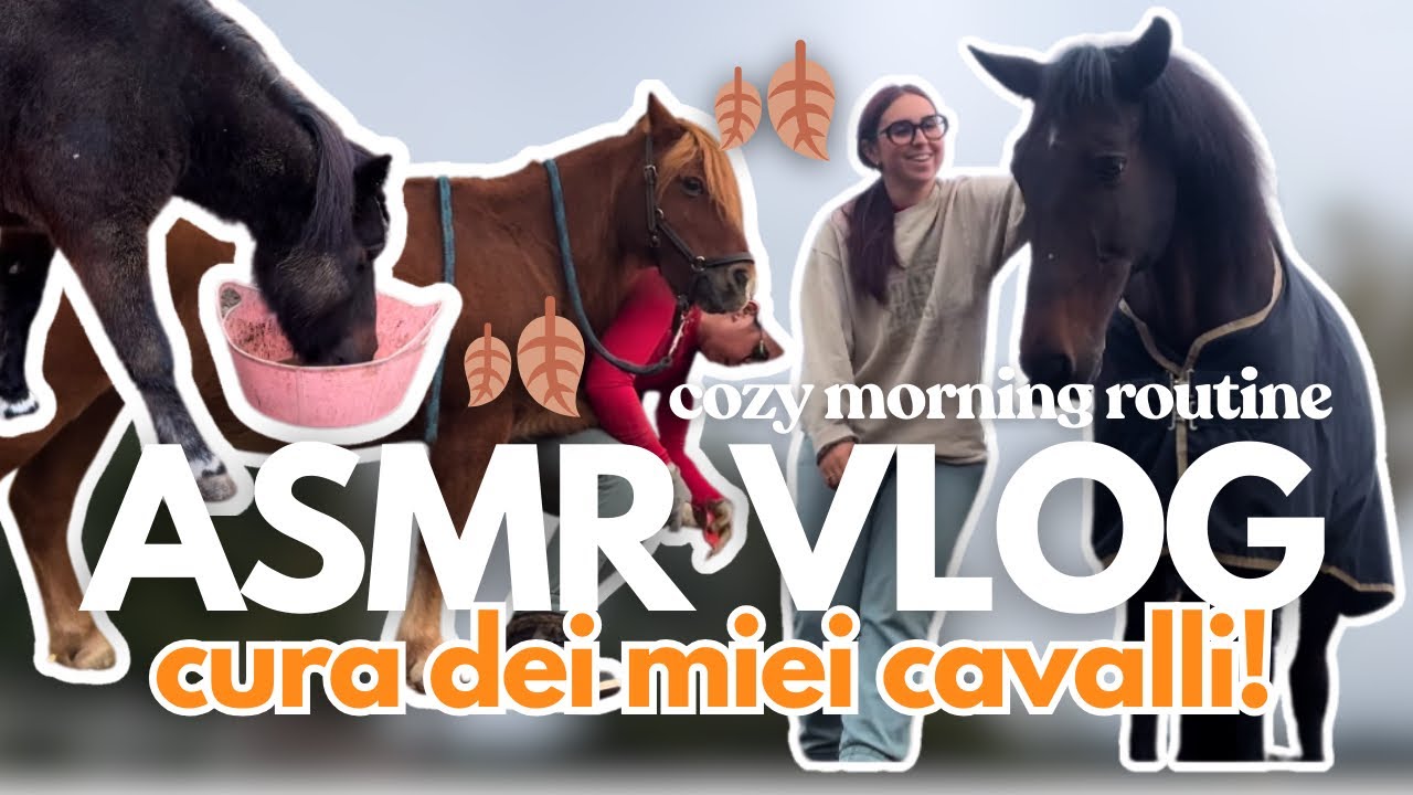 Come mi prendo cura dei miei cavalli | COZY MORNING ROUTINE 🍂🐴