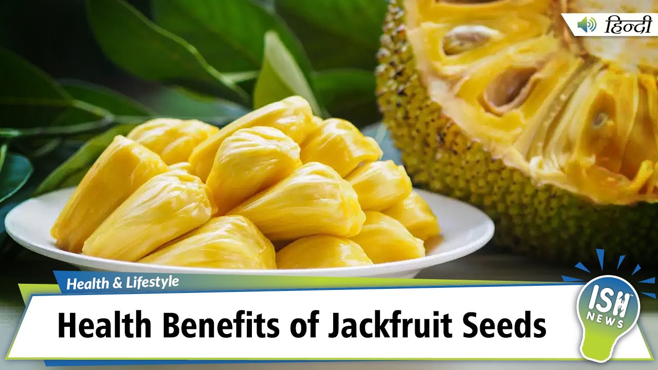 Part 1: Health Benefits of Jackfruit Seeds