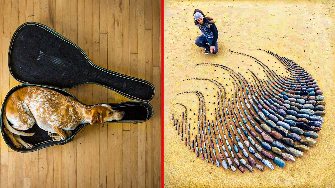 Coincidences & Oddly Satisfying Photos That We Can’t Stop Looking At #3