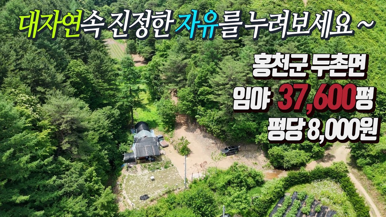 강원도 홍천군 37,600평 작은 산 하나를 소유해 보세요 !!   7,000평 더덕재배, 농막설치, 초급매 3억 (평당 8,000원)