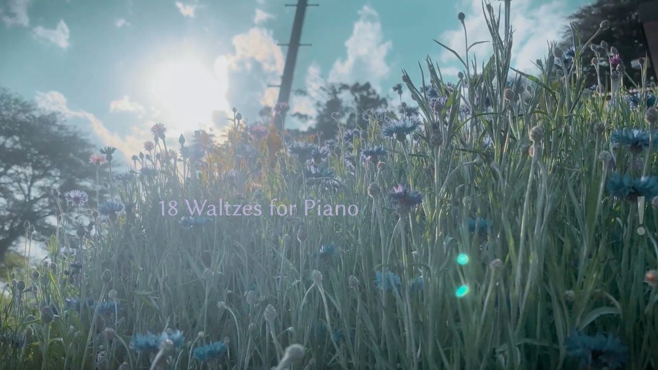 桜の見えるカフェ／保坂修平ワルツ集 18 Piano Waltzes - music by Shuhei Hosaka
