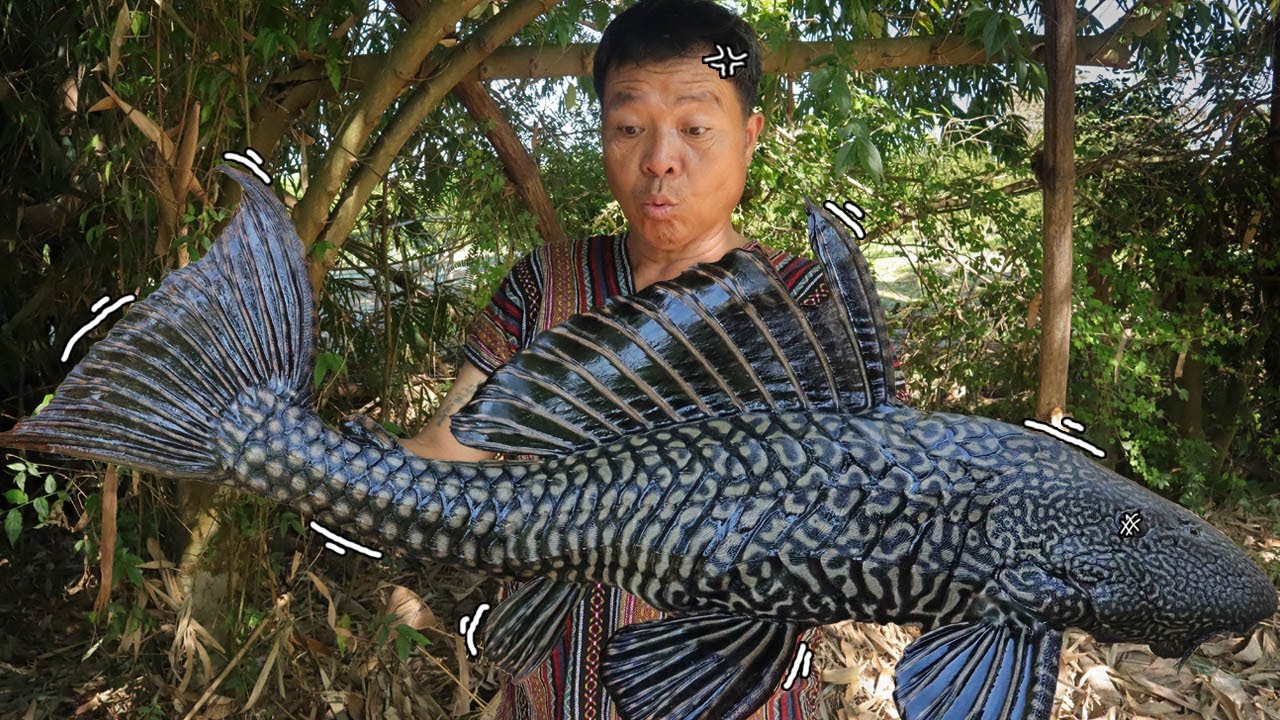 กล้ากินไหม!! ลาบปลาซัคเกอร์ ปลามีเกาะ สิ่งมีชีวิตสุดแปลก l SAN CE