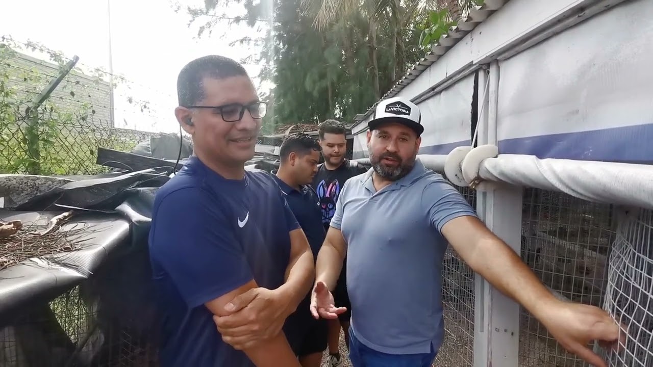 Criadero La Victoria, porque en Miami tambi&eacute;n se cr&iacute;as aves de competencia 😉😎