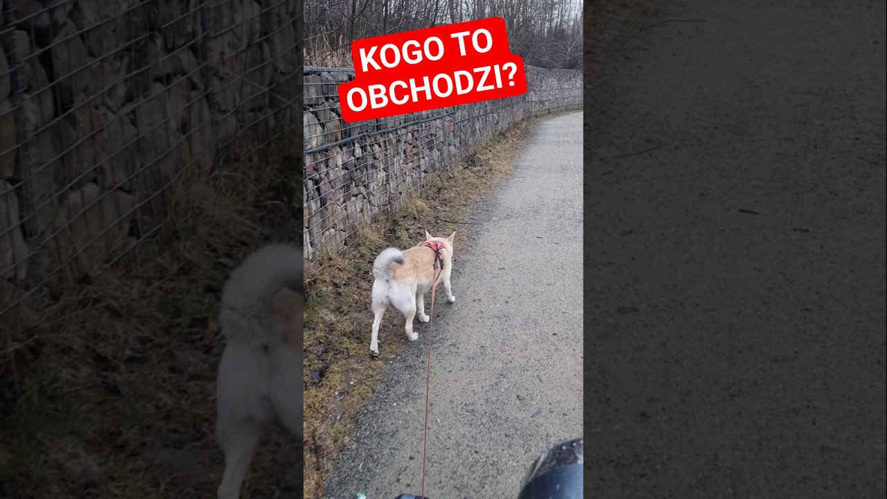 CZY ŁATWO POZYSKAĆ SPONSOR&Oacute;W NA WYPRAWĘ?