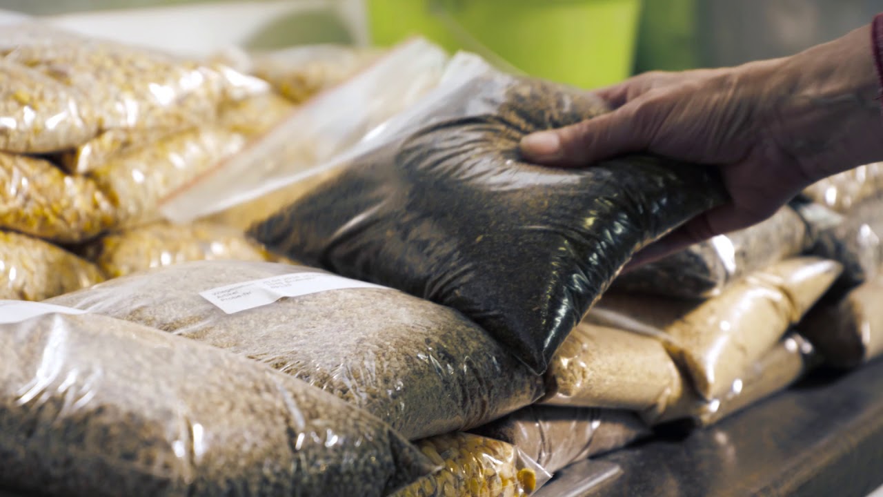 Raiffeisen Ems-Vechte: Grenzüberschreitende Kooperationen von Genossenschaften