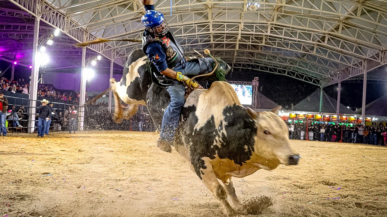 🔴 (SEMI FINAL em TOUROS) | Rodeio de MACATUBA-SP 2024
