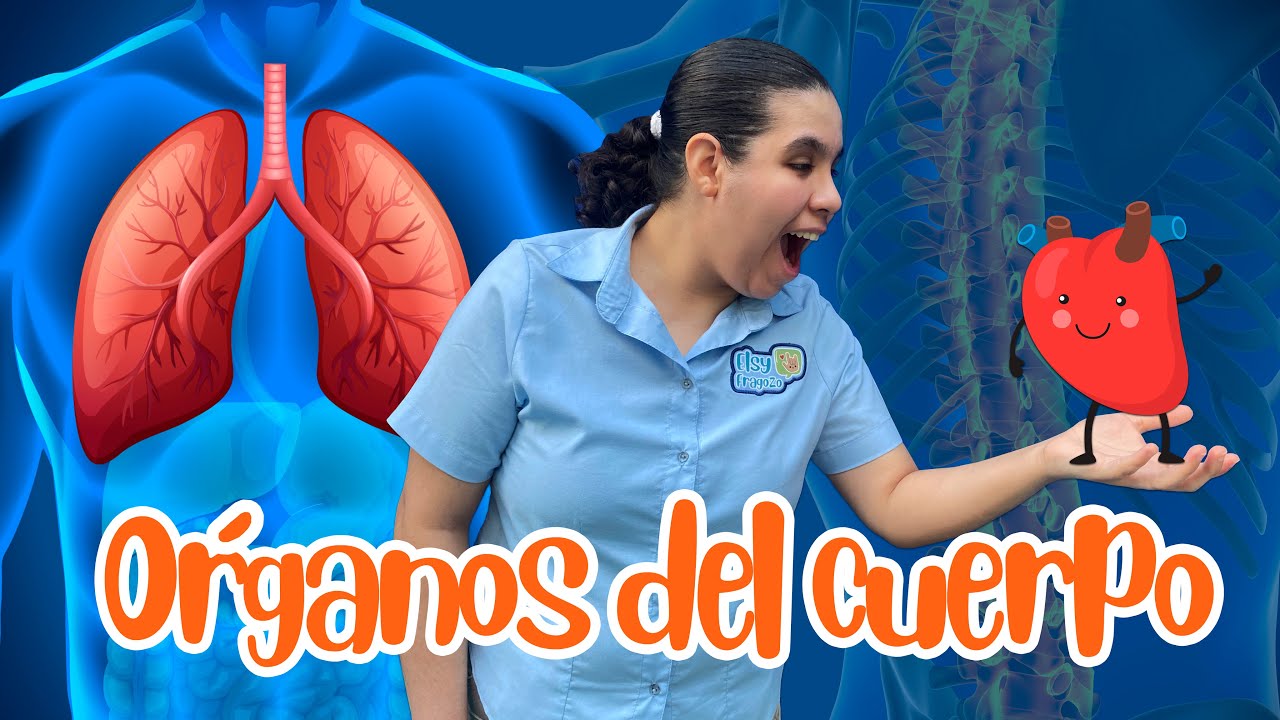 ÓRGANOS DEL CUERPO HUMANO EN LENGUA DE SEÑAS MEXICANA