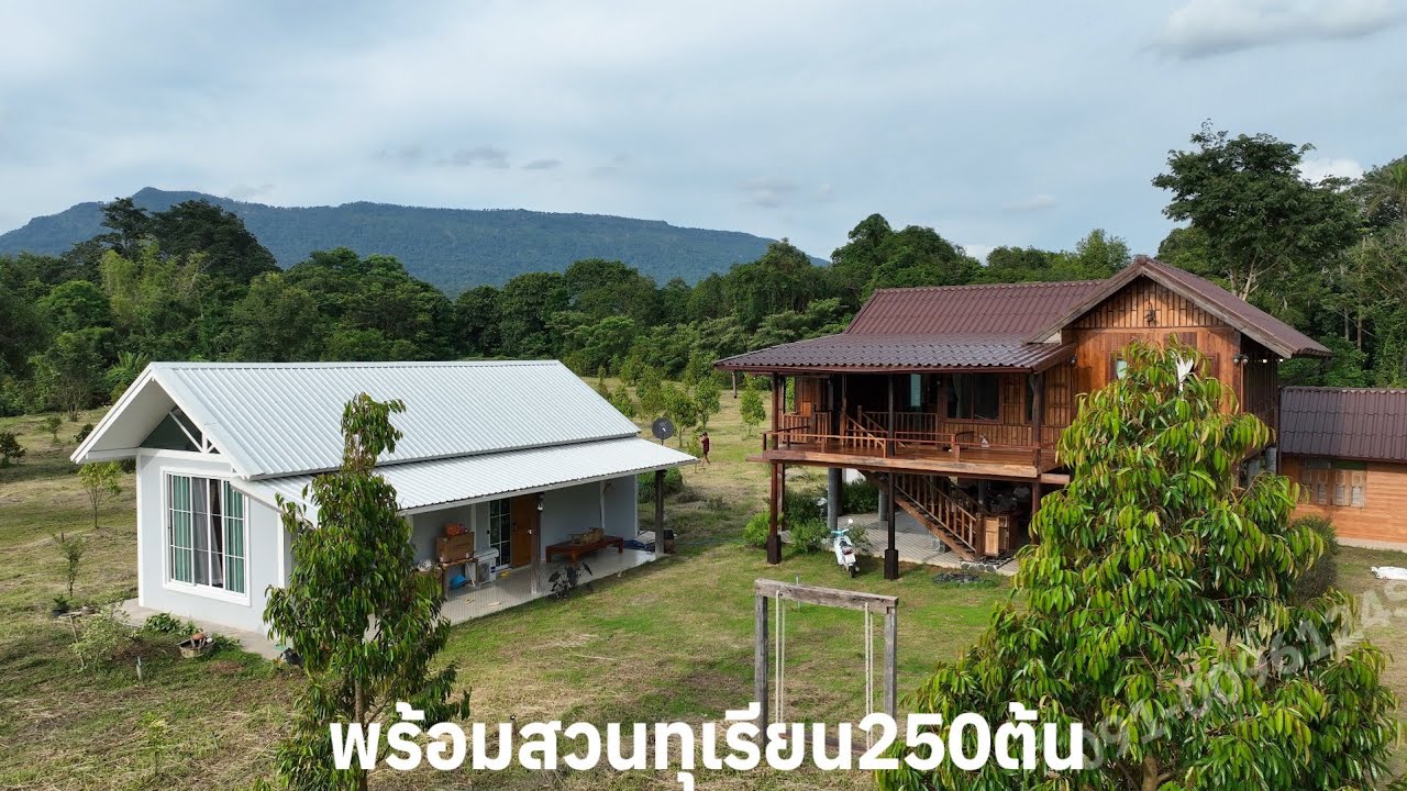 EP:278บ้านพักตากอากาศพร้อมสวนทุเรียนบนเชิงเขา 16-1-25ไร่/32ลบ.ใกล้ทางขึ้นเขาใหญ่นครนายก