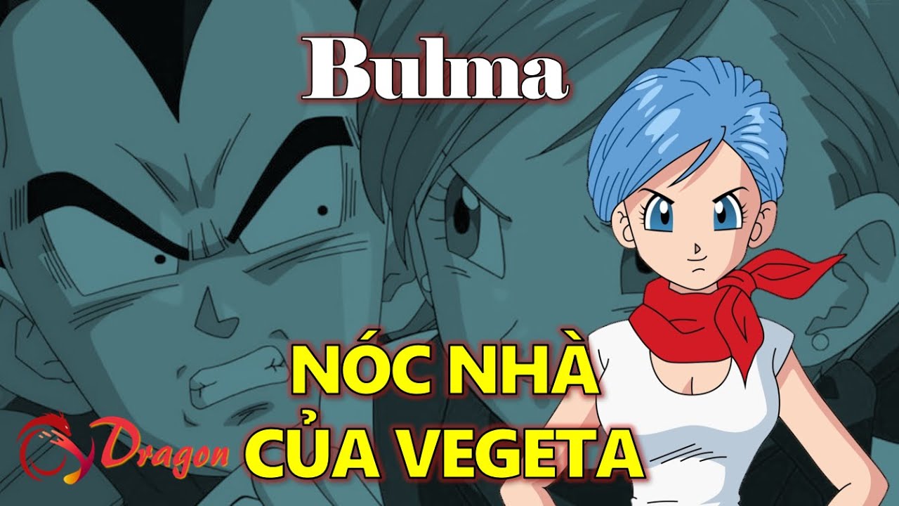 Hồ sơ Bulma: Thiên tài khoa học, nóc nhà của Vegeta