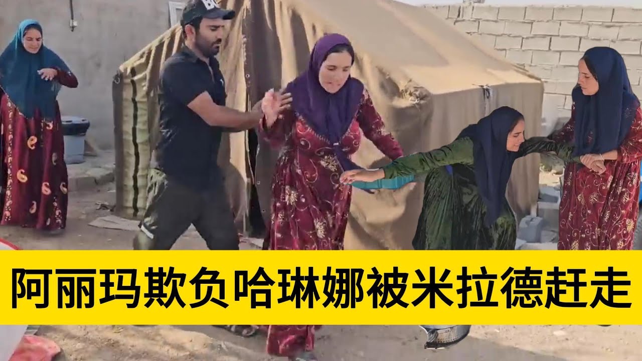 米拉德和哈琳娜最新后续，阿丽玛要将哈琳娜给赶走，被米拉德发现了很是恼火