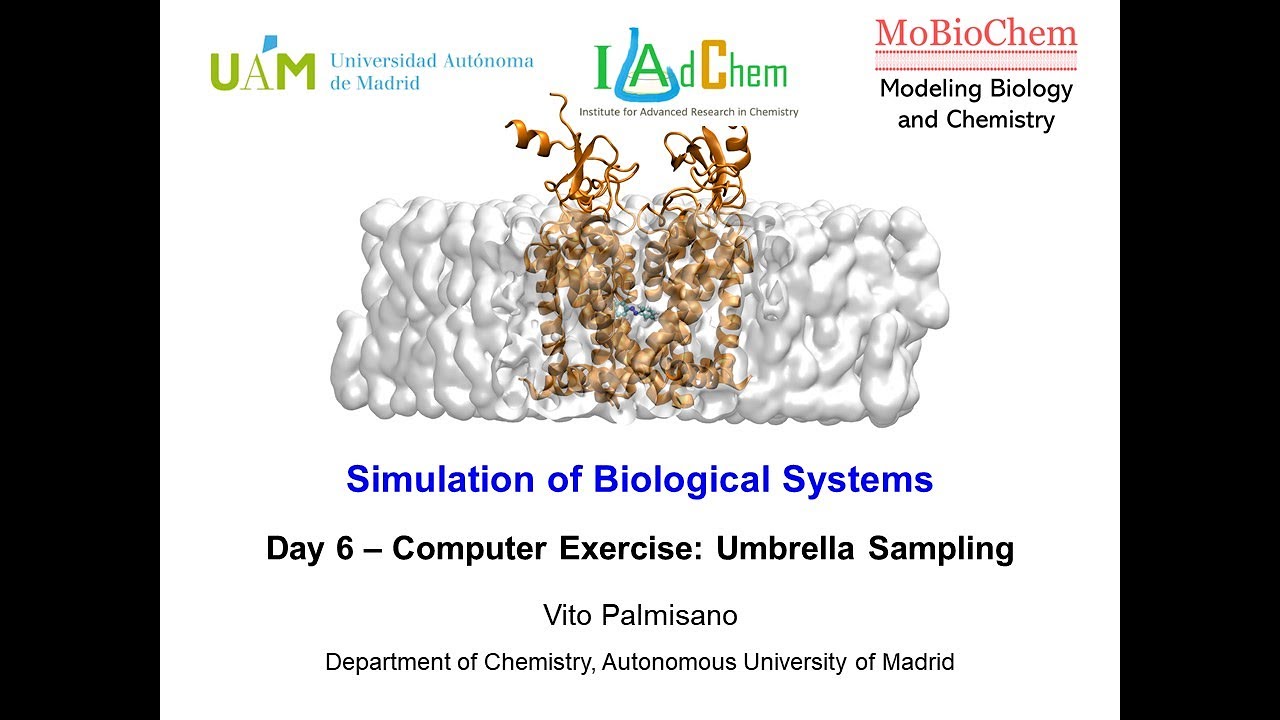 Day 6 - Computer Exercise: Umbrella Sampling