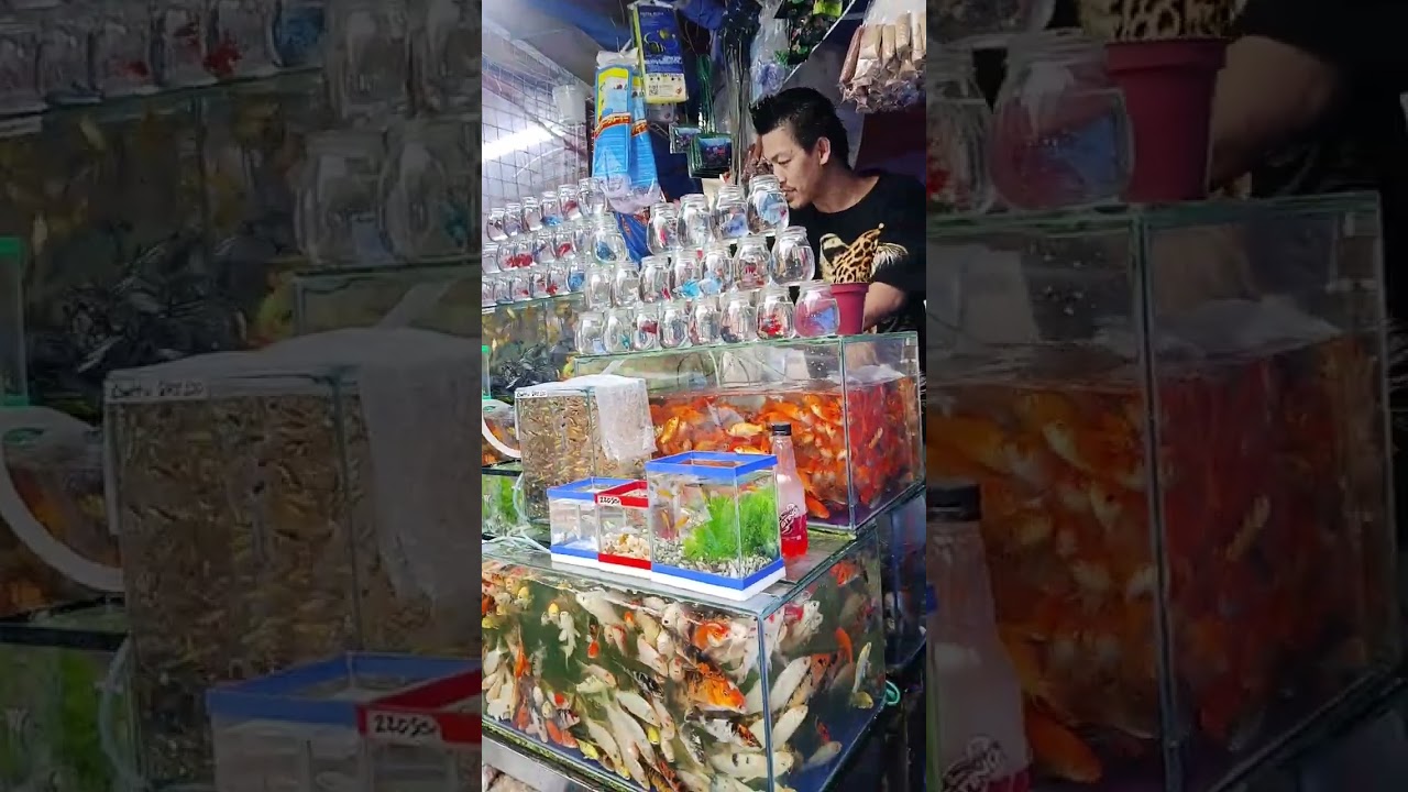 May binili sa Sta Elena st.Juan Luna Divisoria,Like,share to my channel @antoniosison629,thank you🙏👍