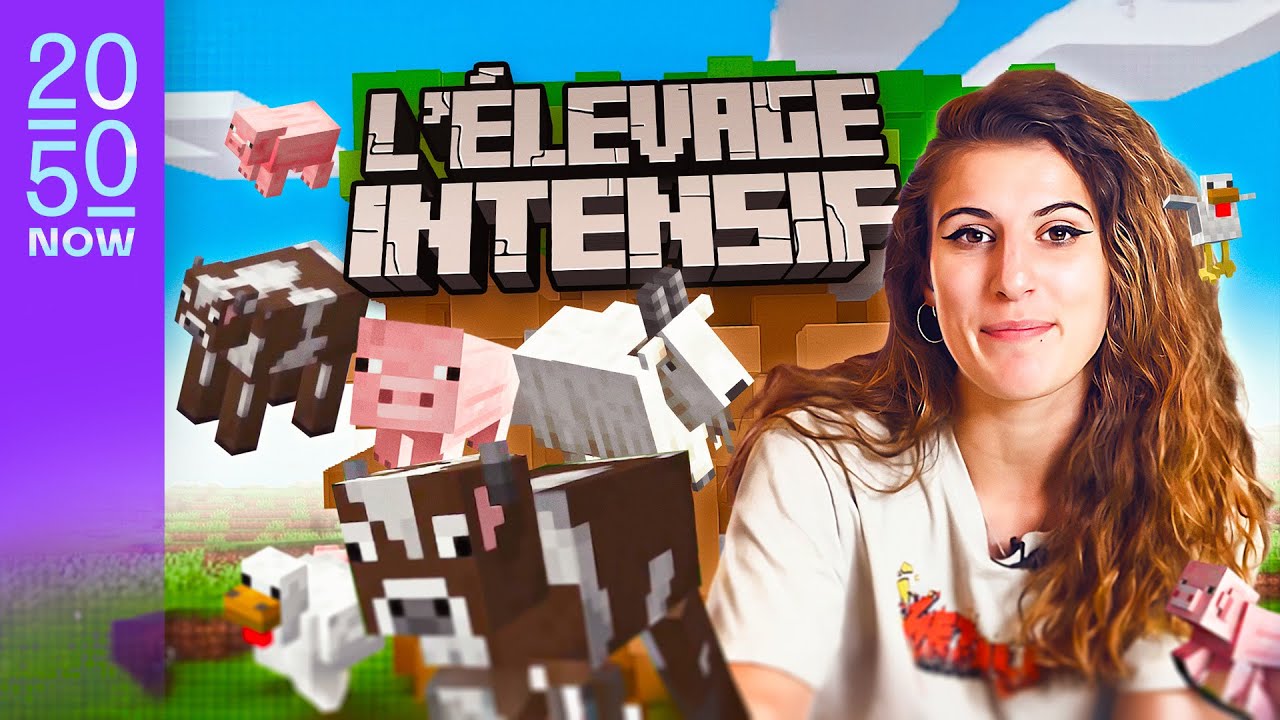L'&eacute;levage intensif expliqu&eacute; avec Minecraft