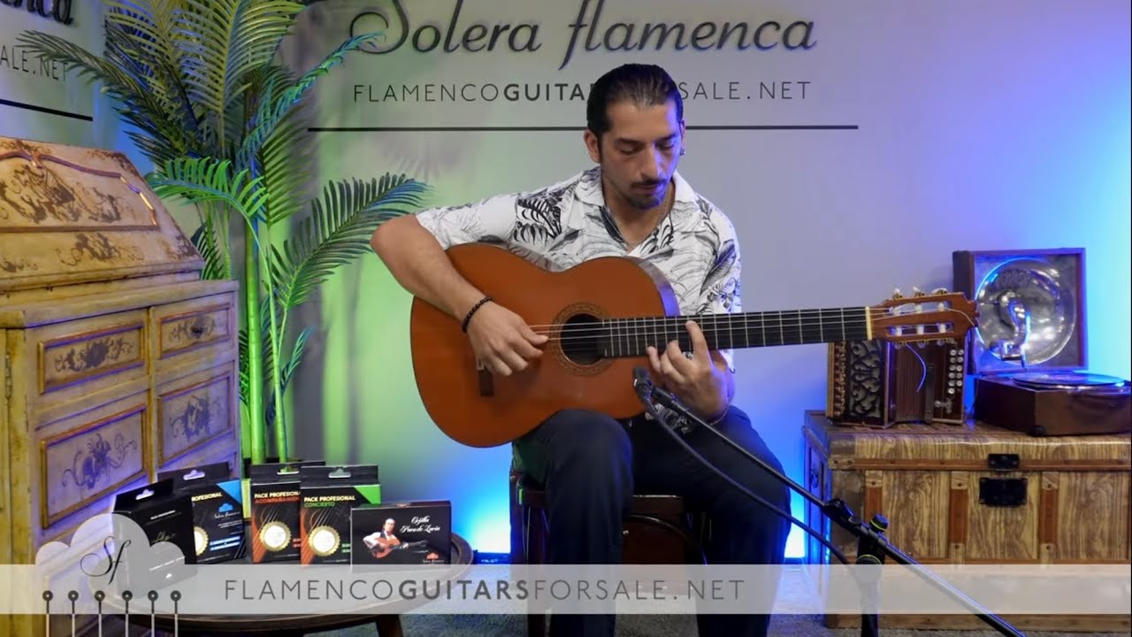 Pedro Maldonado 1974 flamenco guitar for sale played by Jos&eacute; Andr&eacute;s Cort&eacute;s