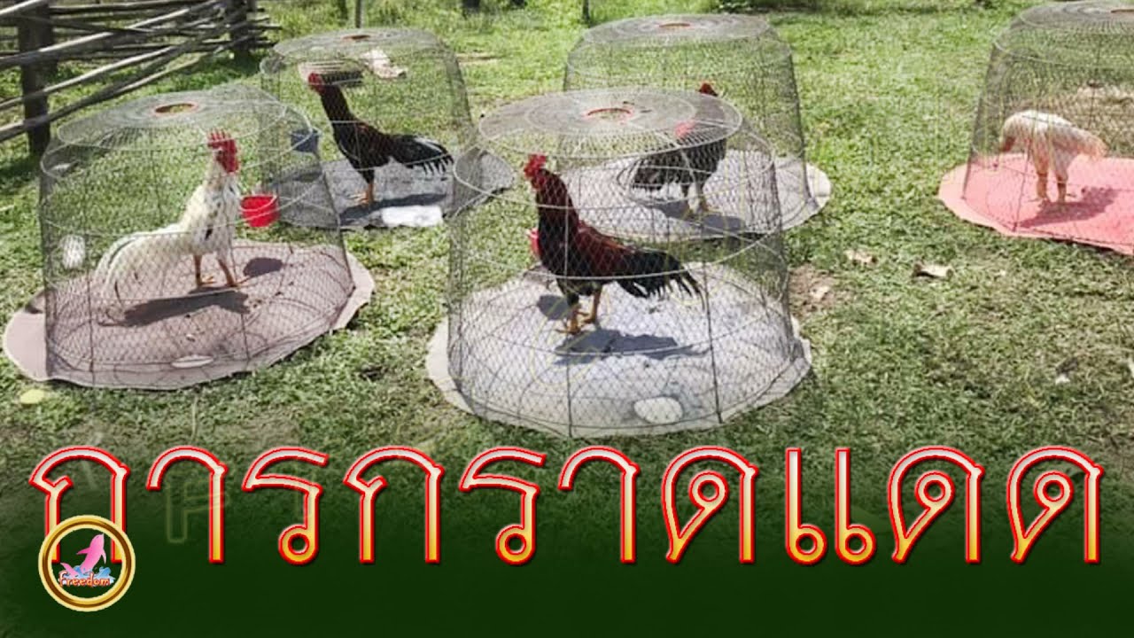 แสงแดดเสริมความแข็งแกร่ง