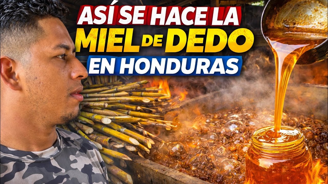 Así se hace la miel de dedo en HONDURAS 🇭🇳 