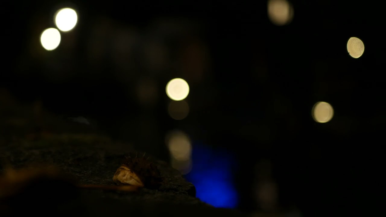 ASMRelax --- a quaint marina on an october night