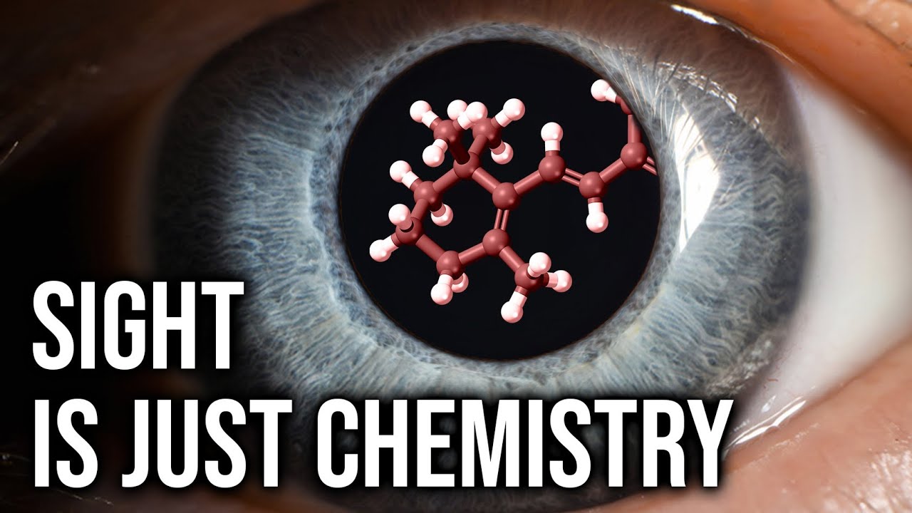 Vision Is Actually A Chemical Reaction