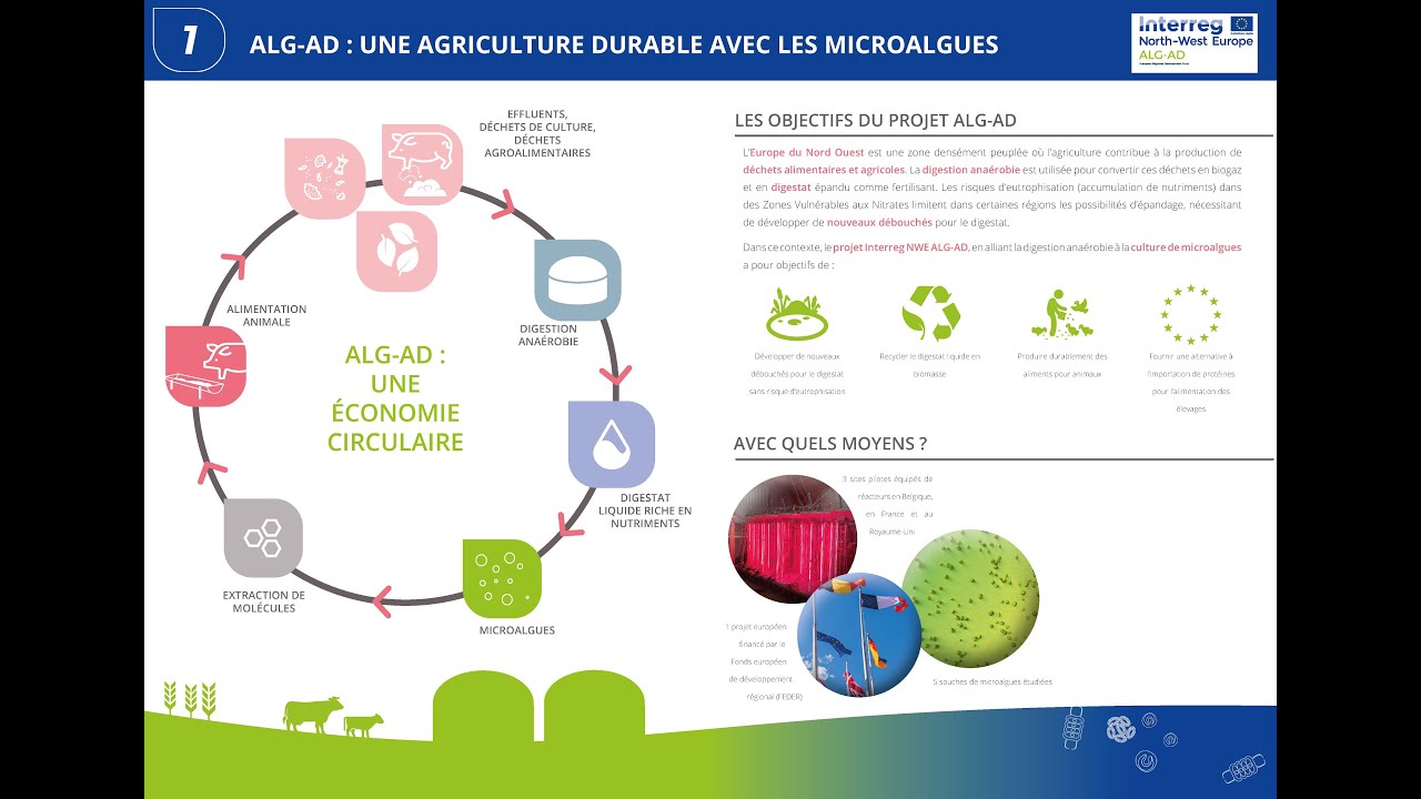 Sustainable agriculture using microalgae
