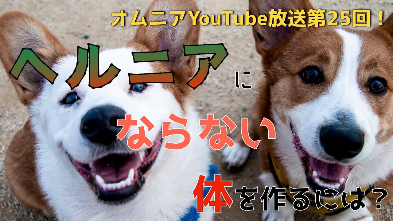 ヘルニアにならない体を作るには？