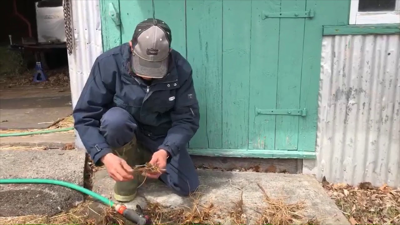 Atelier 1 | Survie à l’hiver Blé et seigle d'automne et luzernière
