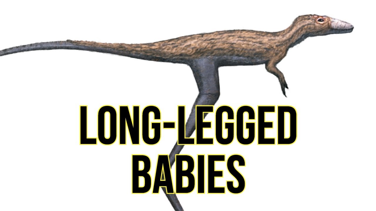 Stilt-legged Tyrannosaur Hatchlings and Estimation in Paleontology