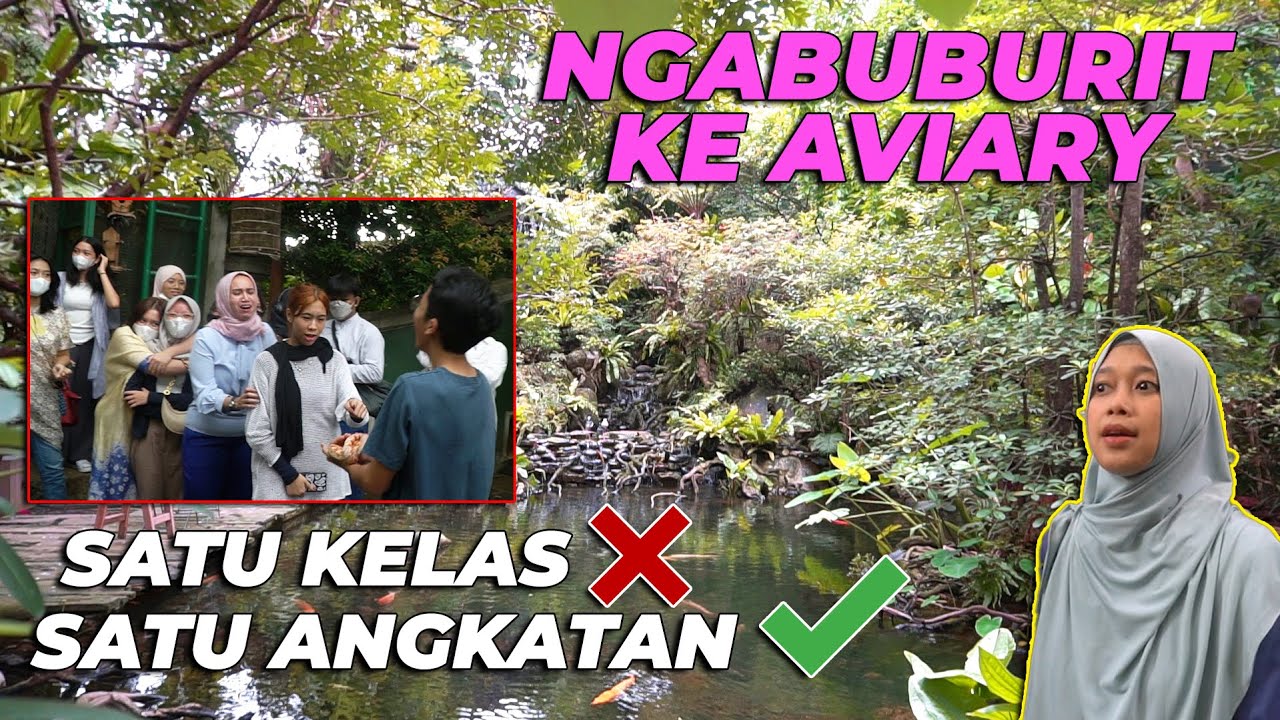 NGABUBURIT KE AVIARY BAWA SATU ANGKATAN..! LANGSUNG GEMPOR..!!
