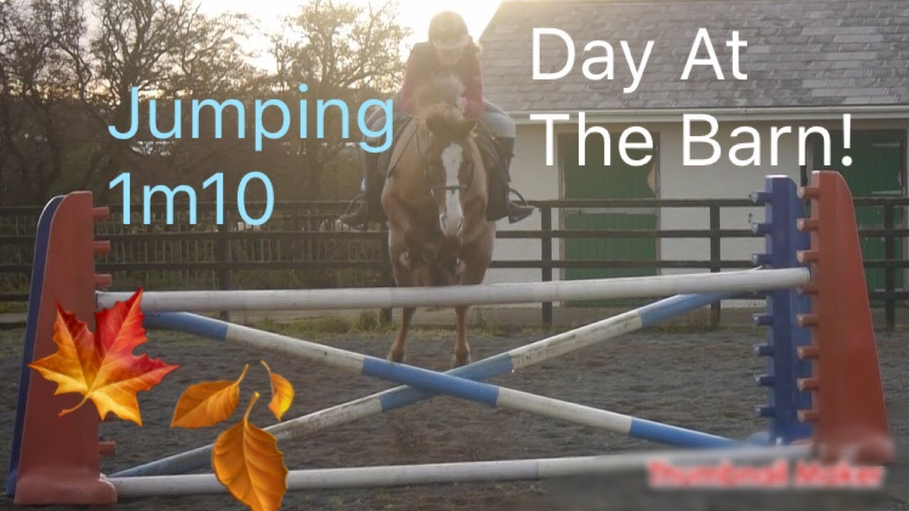 Autumn/Fall Day At The Barn  || JUMPING 1m10!