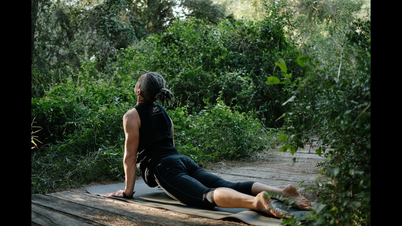 PRACTICA DE YOGA COMPLETA CON COSMIN #2 - todos los niveles