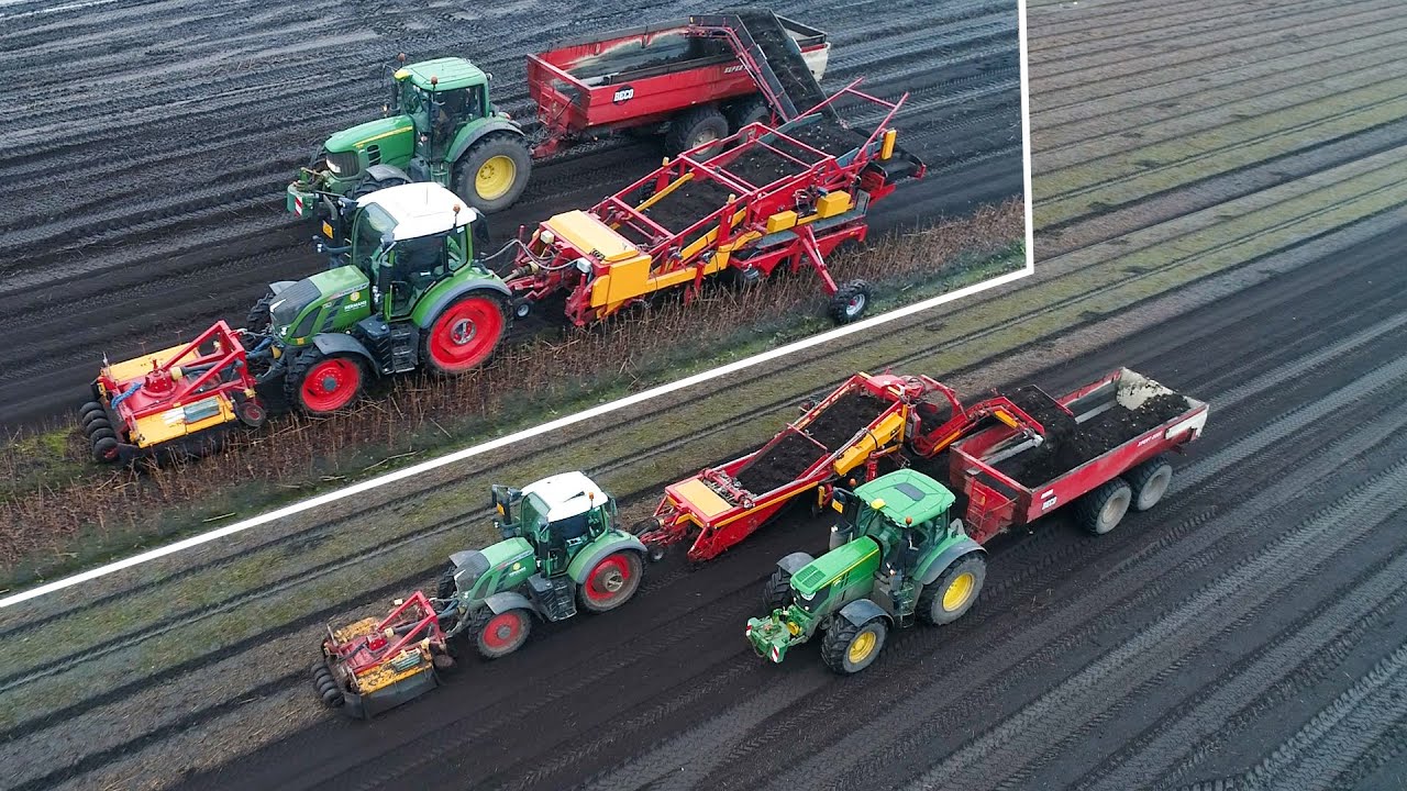 Lelie bollen rooien 2x | Harvesting lily bulbs 2x | Fendt | John Deere | MH | Van Meijel