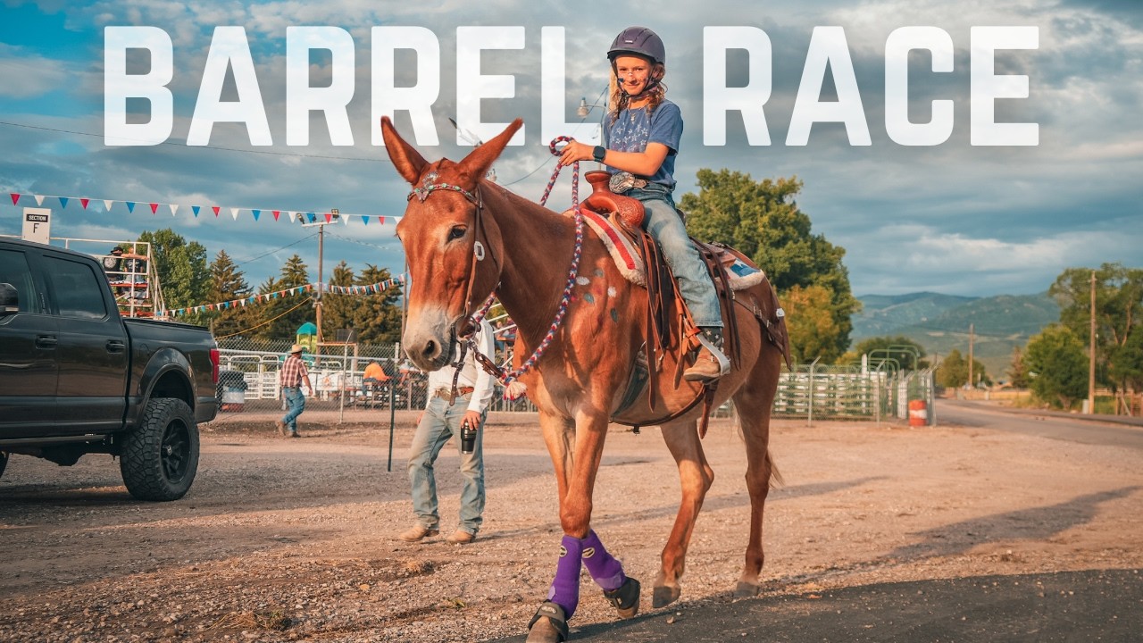 The Fastest MULE At The Rodeo