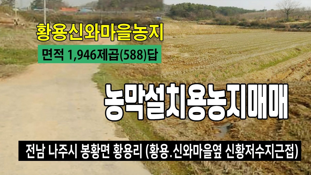 [26-015]전남 나주시 봉황면 황용리 신와마을옆 신황저수지부근 농림지역 가축사육제한구역 답 농로길에 싼 토지 매매합니다~
