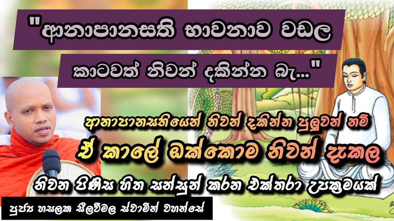 ආනාපානසතිය තුළින් අභිනිවේස දුරු කරමු |#895බණවර |#revhasalakaseelawimalathero |2026.02.19