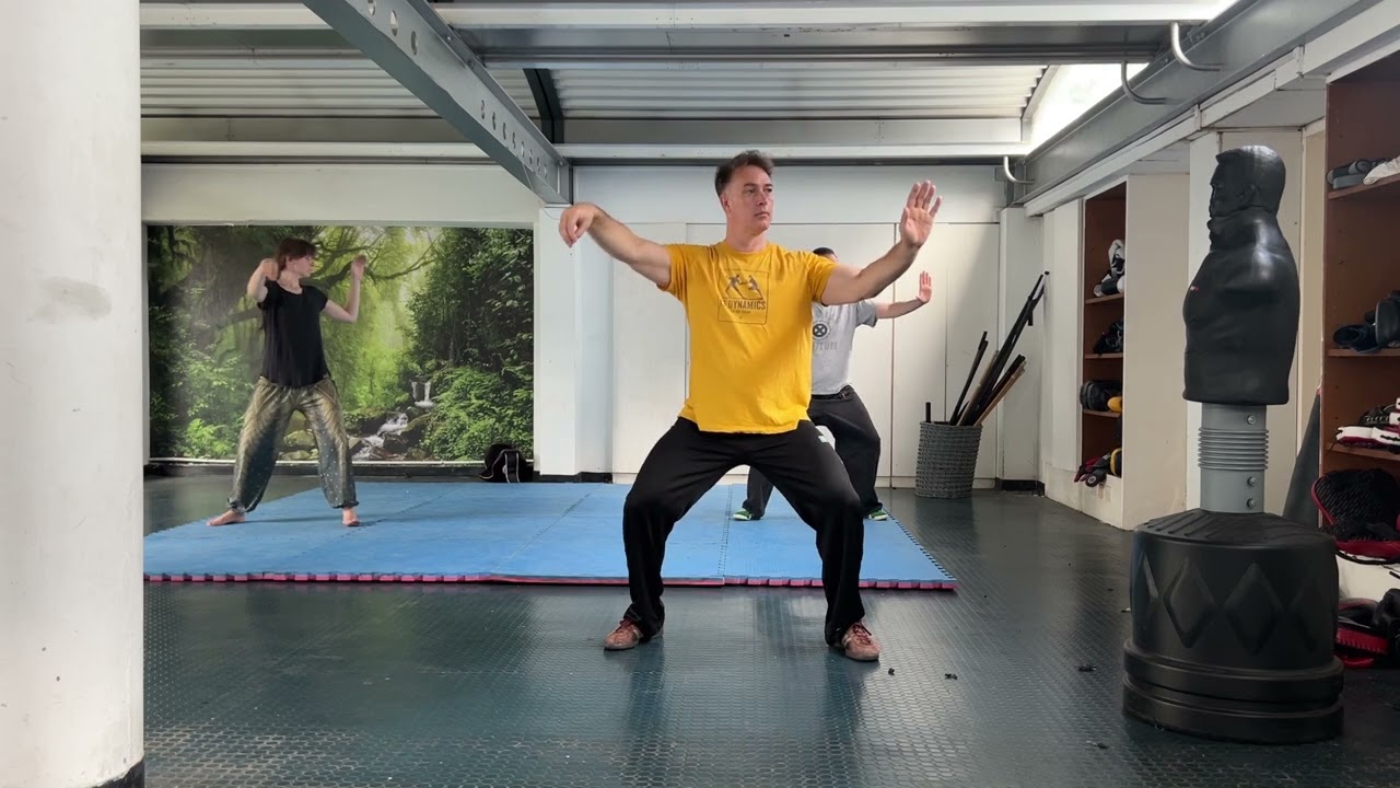 Tai Chi long form practice (Wudang/Wu style) #taichilongform