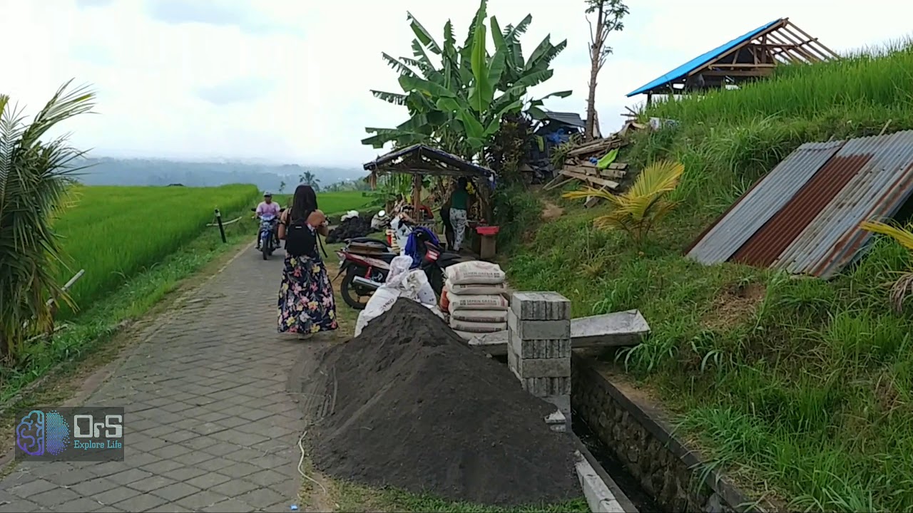 Jatiluwih Rice Terrace #Bali  자틸루위 논 #Riceterrace #Indonesia