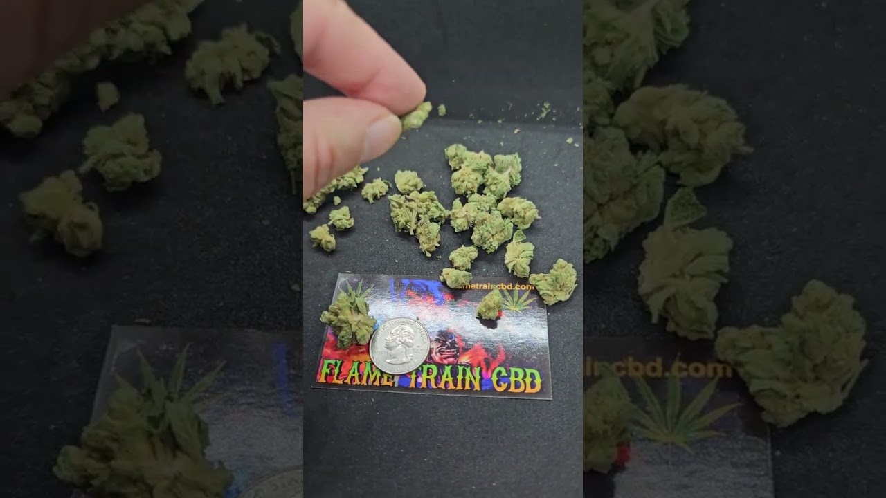 A look at our first budget drop Tropicana THCA #cbdproducts #giveaway #giveaway #420community
