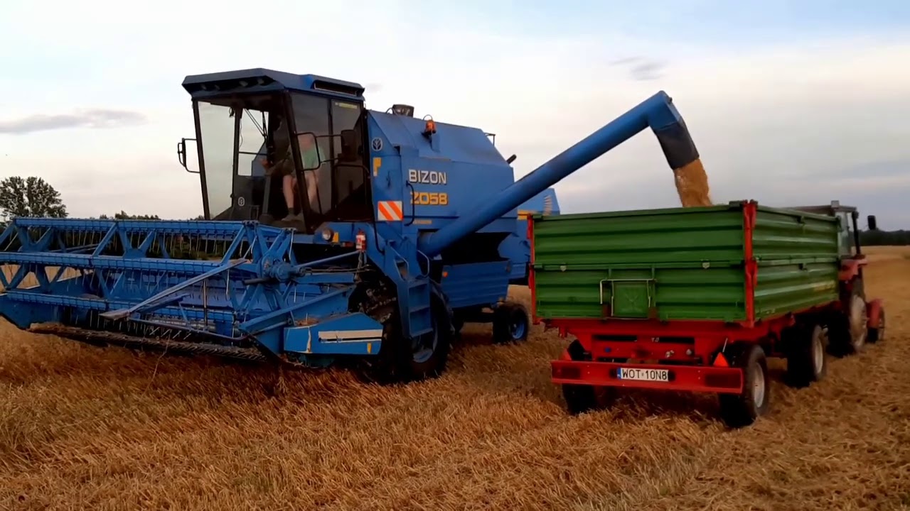 Żniwa 2020 Bizon Rekord NH