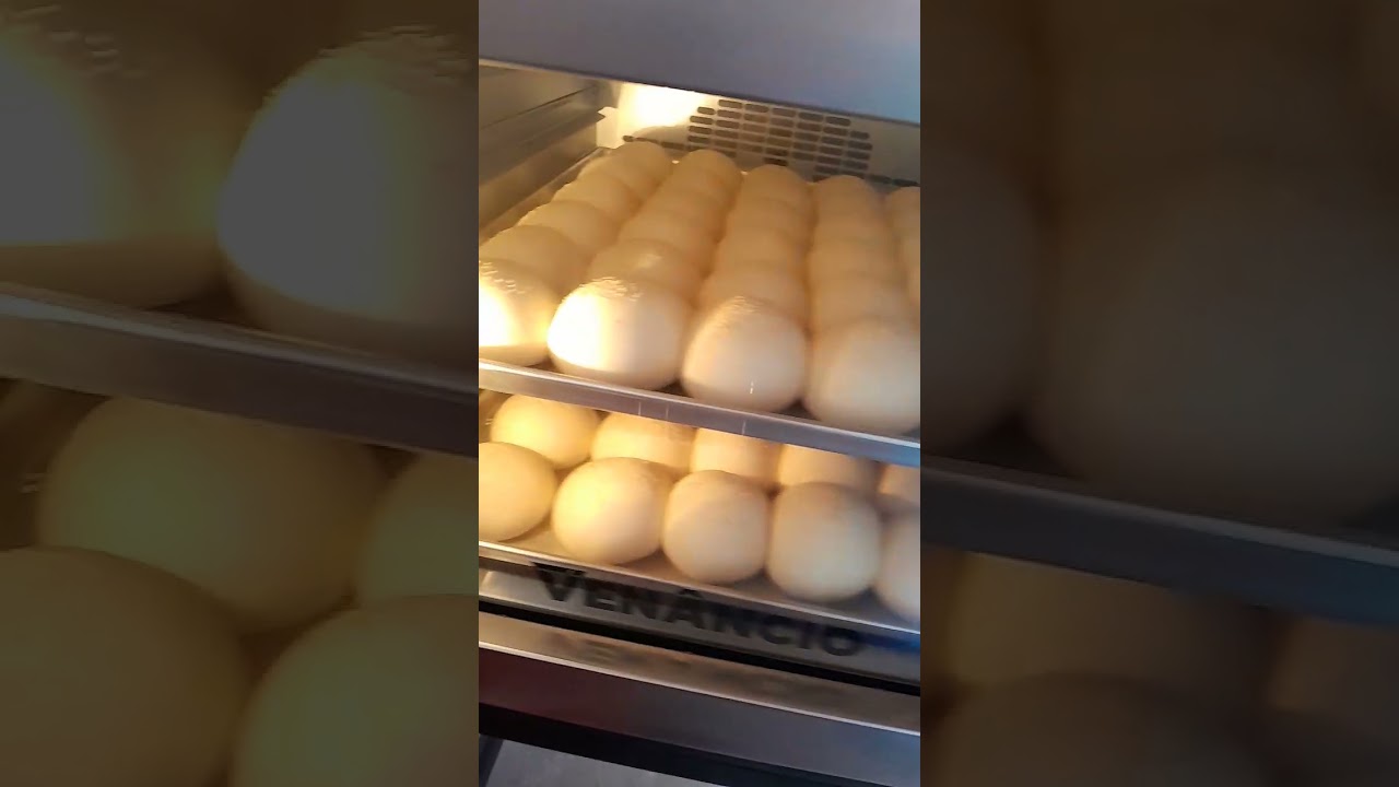 Assando pao hambúrguer no forno turbo venancio twister elétrico