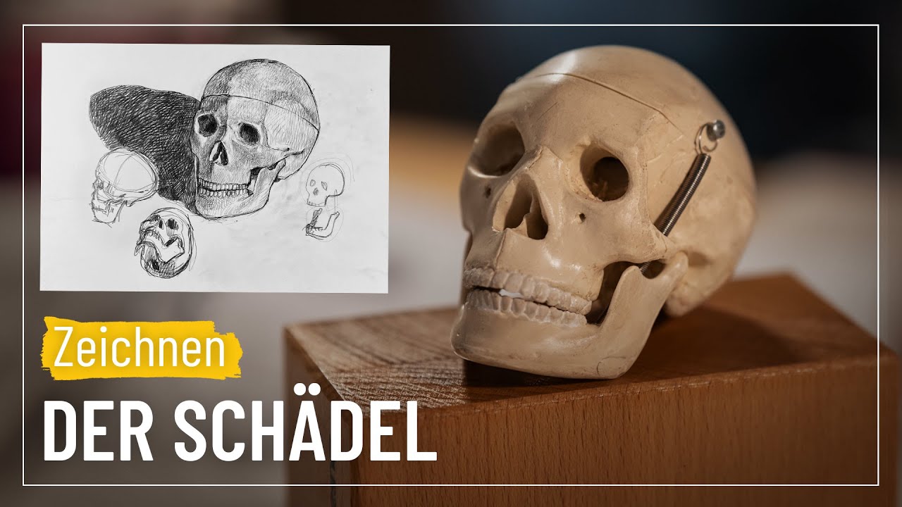 Körper zeichnen: Der Schädel | sehen&gestalten #83