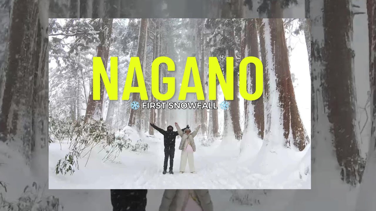 DEC 25 - Prince Shopping Plaza, Togakushi Shrine, Snow Monkey Park, Nagano, Karuizawa