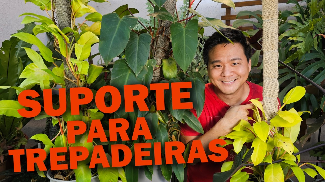 Tutores simples e baratos para suas trepadeiras.