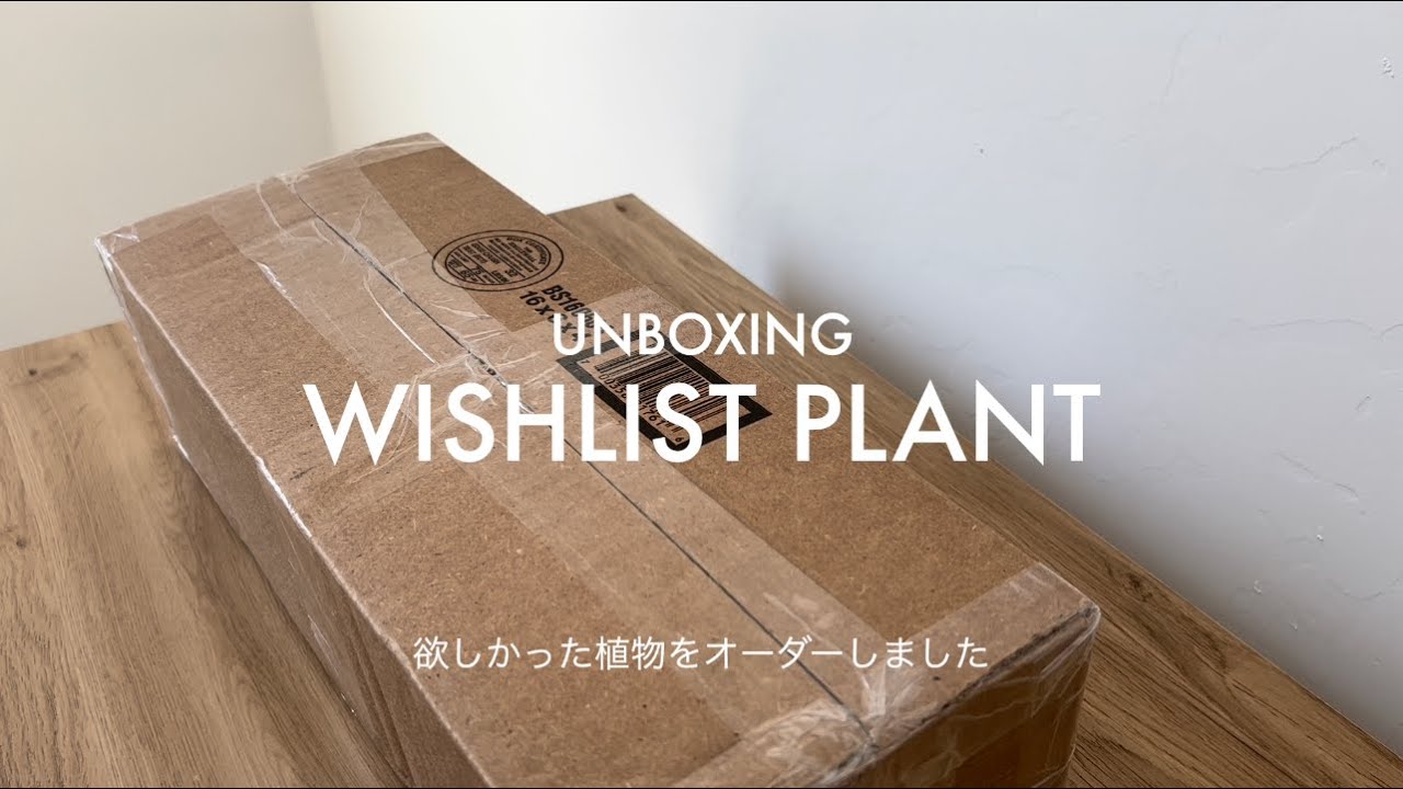 【Unboxing Wishlist plants】欲しかった植物を購入しました