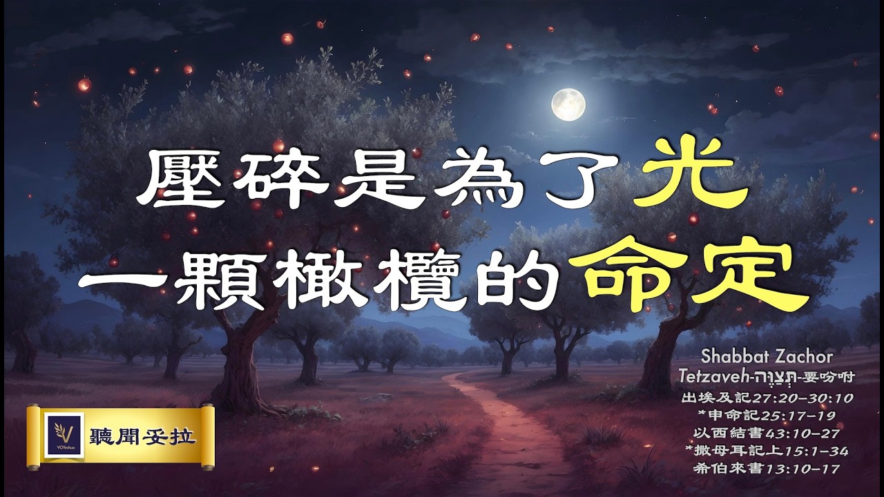 壓碎是為了光！一顆橄欖的命定！｜Tetzaveh-תְּצַוֶּה-要吩咐【VOY聽聞妥拉】