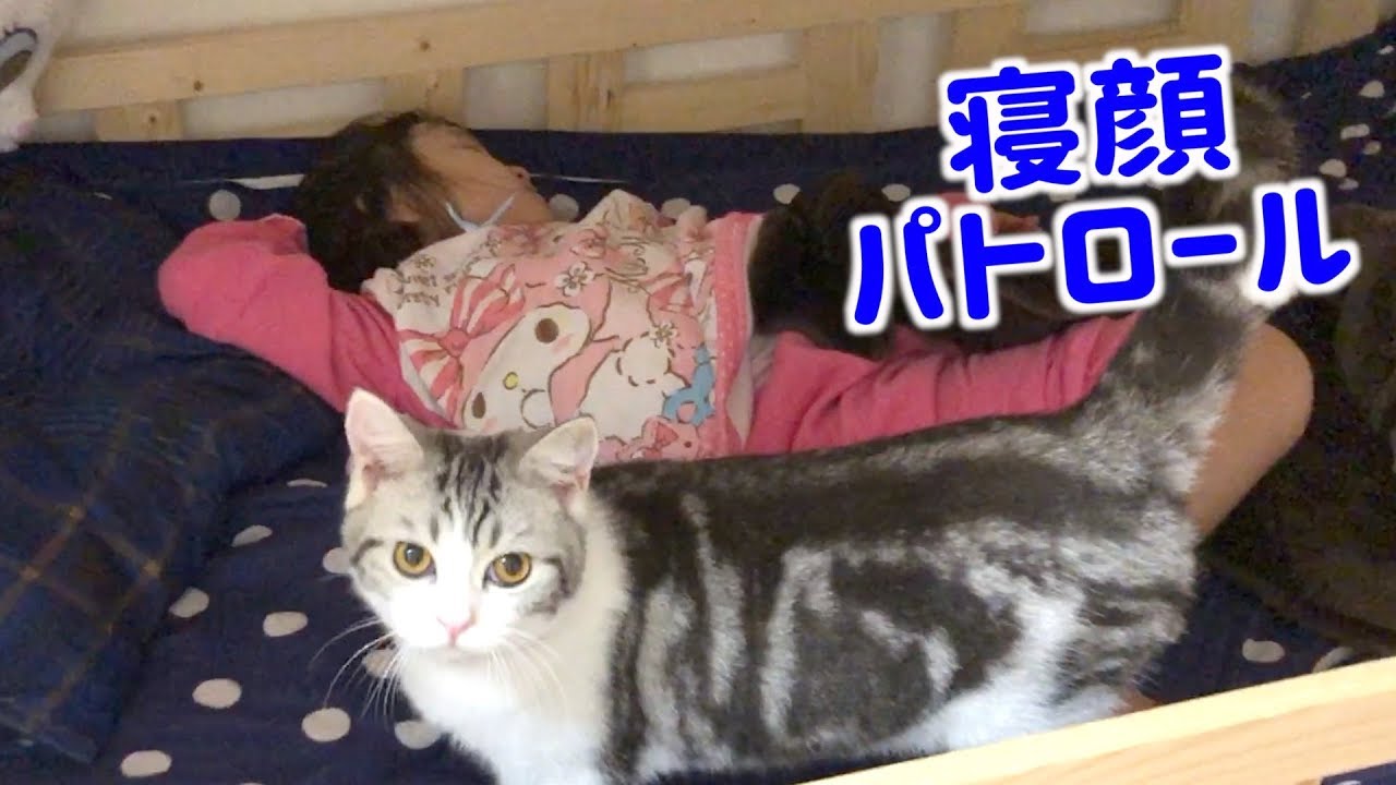 子供たちの寝顔パトロール😍ティーンにやきもちをやくゴリラ😆【ココロマン普段の様子】