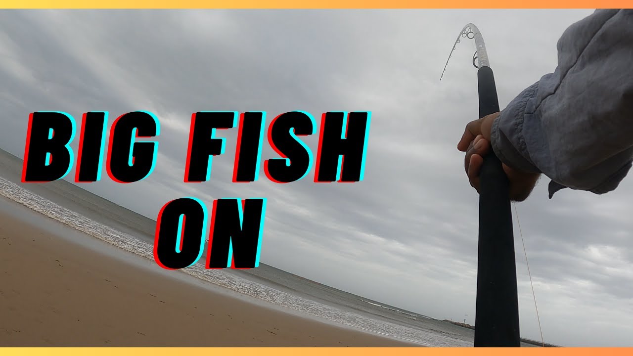 Big Fish on Durban's Beachfront